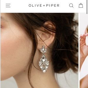 Crystal Statement Drop Earrings